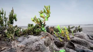 Скриншот 5 к игре Liminal Lands