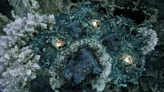 Скриншот 7 к игре Liminal Lands