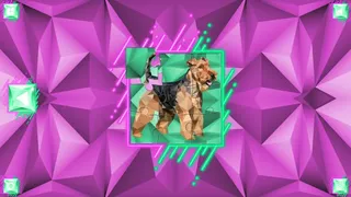 Скриншот 2 к игре Poly Jigsaw: Dogs