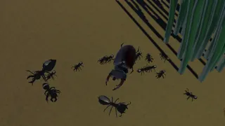 Скриншот 1 к игре Insect Wars