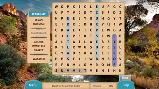 Скриншот 4 к игре Finding America: The West