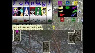 Скриншот 1 к игре GoKaDu