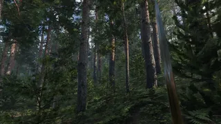 Скриншот 8 к игре Valden Saga