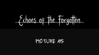 Скриншот 5 к игре Echoes of the Forgotten