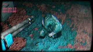 Скриншот 3 к игре ヴィデオの中に私