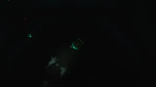 Скриншот 4 к игре The Deepwater