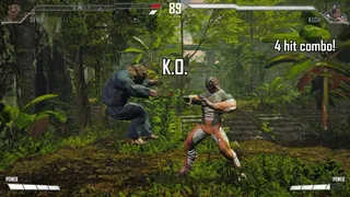 Скриншот 3 к игре Mortal Fighter
