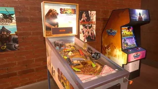 Скриншот 1 к игре Safari Pinball