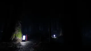 Скриншот 5 к игре Jorōgumo - じょろうぐも