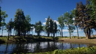 Скриншот 2 к игре Sounds of Nature