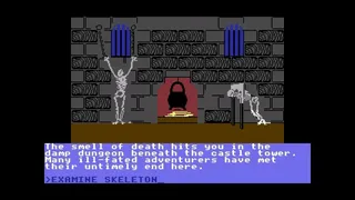 Скриншот 1 к игре Castle of Terror