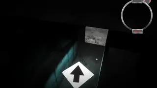 Скриншот 2 к игре The Maze