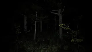 Скриншот 6 к игре Blinding Oversight