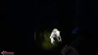 Скриншот 4 к игре The Hermit Chronicles