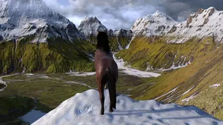 Скриншот 1 к игре Жизнь лошади: конь, лошадь, пони (Horse Life)