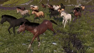 Скриншот 2 к игре Жизнь лошади: конь, лошадь, пони (Horse Life)