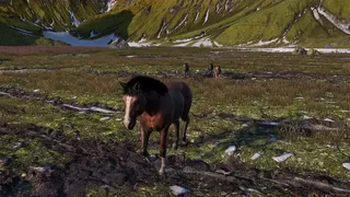 Скриншот 7 к игре Жизнь лошади: конь, лошадь, пони (Horse Life)