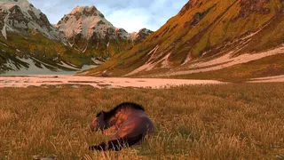 Скриншот 8 к игре Жизнь лошади: конь, лошадь, пони (Horse Life)