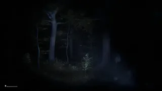 Скриншот 1 к игре Cryptid