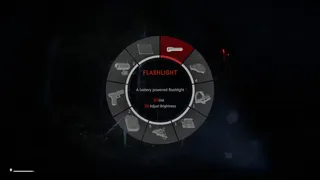 Скриншот 2 к игре Cryptid