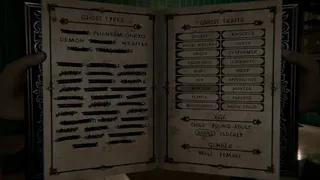Скриншот 8 к игре Project Apparition