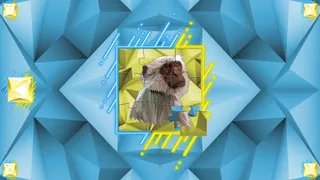 Скриншот 2 к игре Poly Jigsaw: Primates