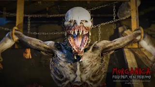 Скриншот 4 к игре Morganica: Bloody Harvest