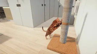 Скриншот 4 к игре Котики: играй как кошка или кот. Нравятся стрей коты, кошки и питомцы? (Cats game)
