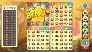 Скриншот 2 к игре Bingo Pets - Save the Pets
