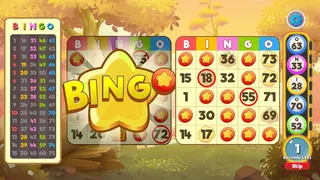 Скриншот 4 к игре Bingo Pets - Save the Pets