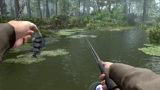 Скриншот 5 к игре Professional Fishing 2