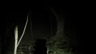 Скриншот 6 к игре Bite Size Terrors: see no FEAR