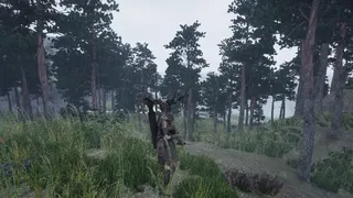 Скриншот 4 к игре Wilderness Edge