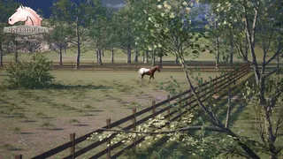 Скриншот 3 к игре Unbridled: Horse Designer