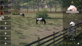 Скриншот 4 к игре Unbridled: Horse Designer