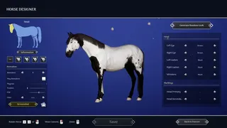 Скриншот 5 к игре Unbridled: Horse Designer