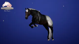 Скриншот 6 к игре Unbridled: Horse Designer