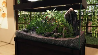 Скриншот 6 к игре Aquascapers