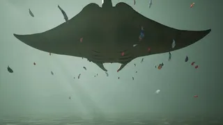 Скриншот 7 к игре Whale Fall