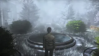 Скриншот 1 к игре The Frozen Garden