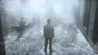 Скриншот 3 к игре The Frozen Garden
