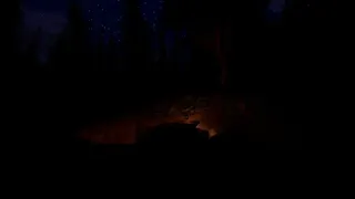 Скриншот 6 к игре Trade Post Forest