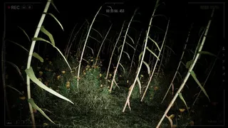 Скриншот 5 к игре THE LORD OF THE NIGHT: Pombero Reborn
