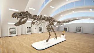 Скриншот 2 к игре Stereograph Museum VR