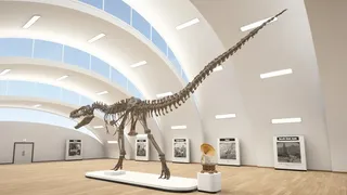 Скриншот 4 к игре Stereograph Museum VR