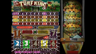 Скриншот 5 к игре Bingo Pinball Gameroom