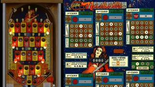 Скриншот 6 к игре Bingo Pinball Gameroom