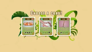 Скриншот 5 к игре Molt