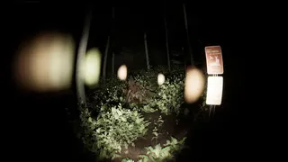 Скриншот 6 к игре The North Woods