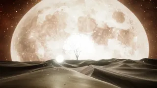 Скриншот 3 к игре Ellan: The Lost Soul